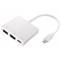 ADAPTADOR USB Type-C  HDMI 2-POWER HUB0104A