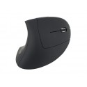 Equip Ergonomic wireless mouse, Black - 245110
