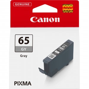 Canon CLI-65 Pro Séries - Grey ink tank - 4219C001