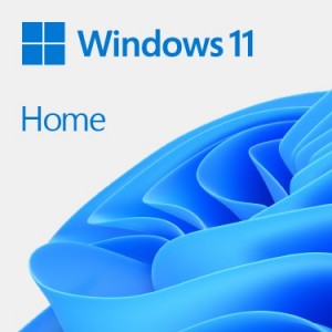 Windows 11 Home 64Bit EN Intl 1pk DSP OEI DVD