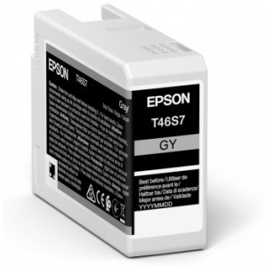Epson Singlepack Gray T46S7 UltraChrome Pro 10 ink 25ml - C13T46S700