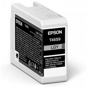 Epson Singlepack Light Gray T46S9 UltraChrome Pro 10 ink 25ml - C13T46S900