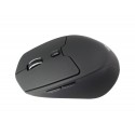 Conceptronic LORCAN ERGO 6-Button Ergonomic Bluetooth Mouse - LORCAN02B