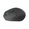 Conceptronic LORCAN ERGO 6-Button Ergonomic Bluetooth Mouse - LORCAN02B