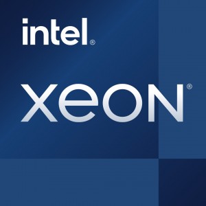 Intel Xeon E-2336 - 2.9 GHz - 6 núcleos - 12 threads - 12 MB cache - LGA1200 Socket - Box