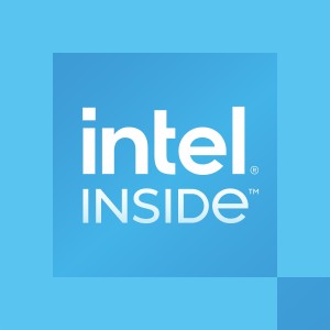 Intel for Desktop 300 - 3.9 GHz - 2 cores - 4 threads - 6 MB cache - FCLGA1700 Socket - OEM
